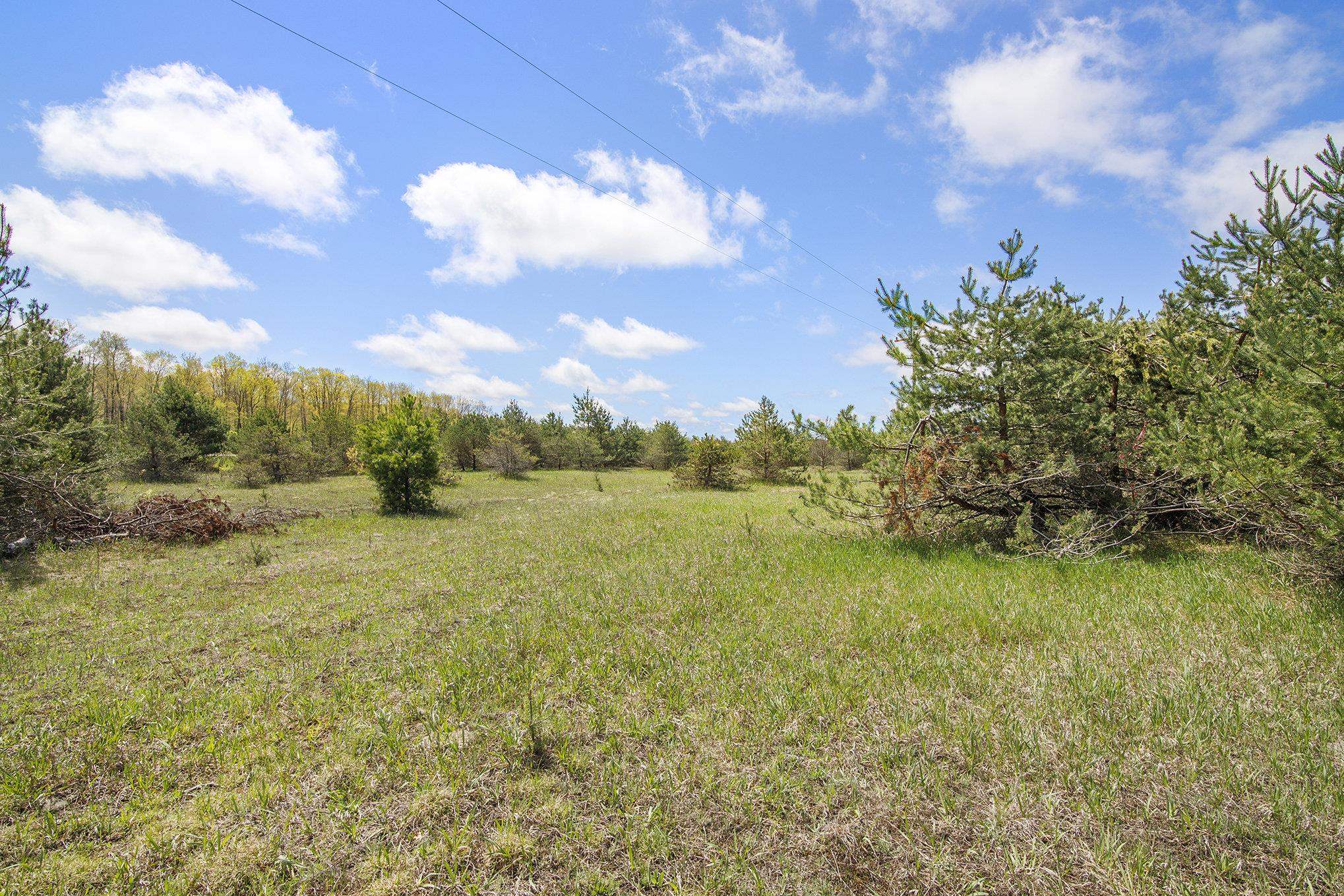 2 North 9th Road Mesick, MI 49668 - Photo 3 of 9
