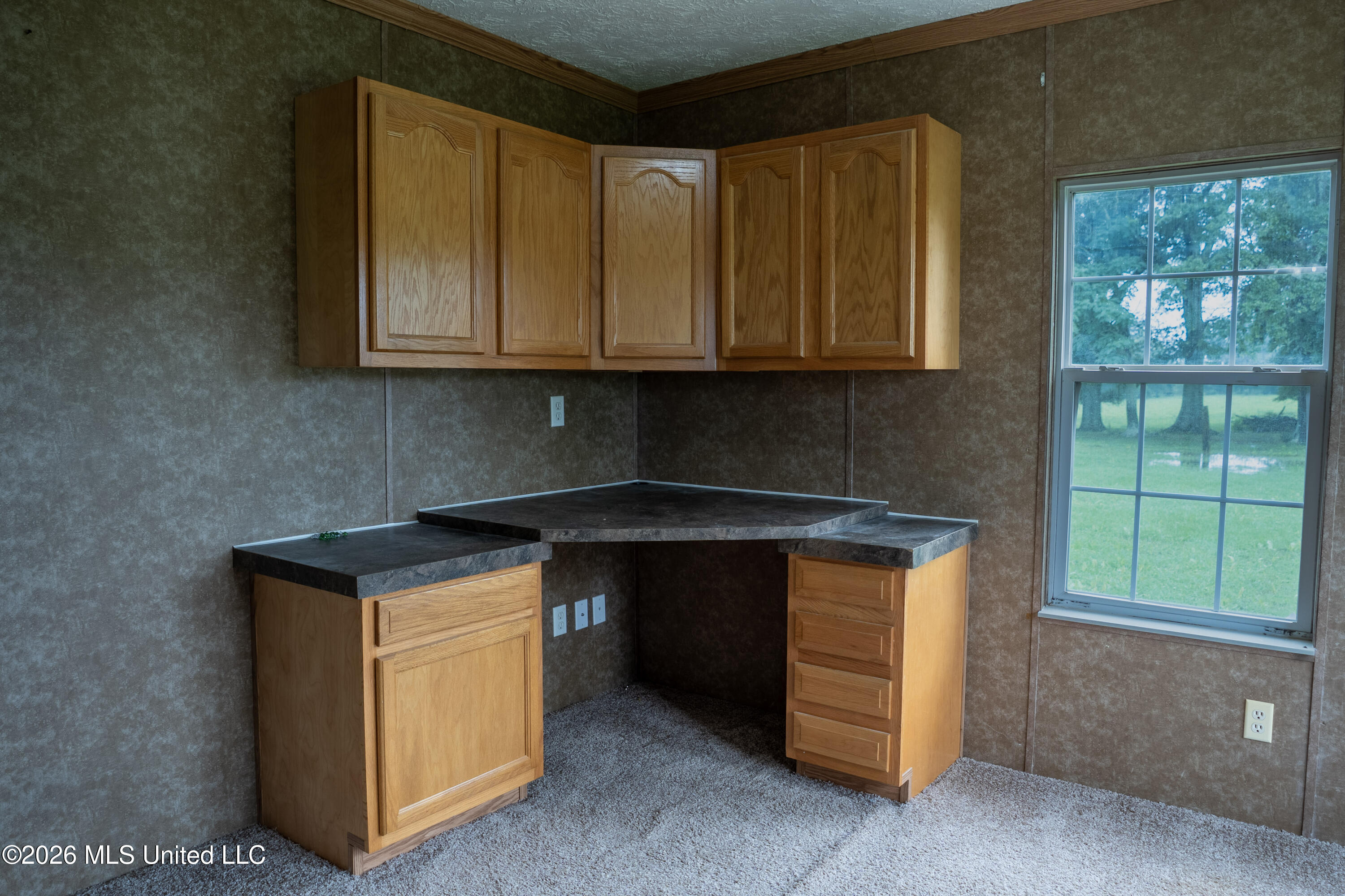 749 J Burnham Road Pelahatchie, MS 39145 - Photo 14 of 21 18-DSC00689-HDR