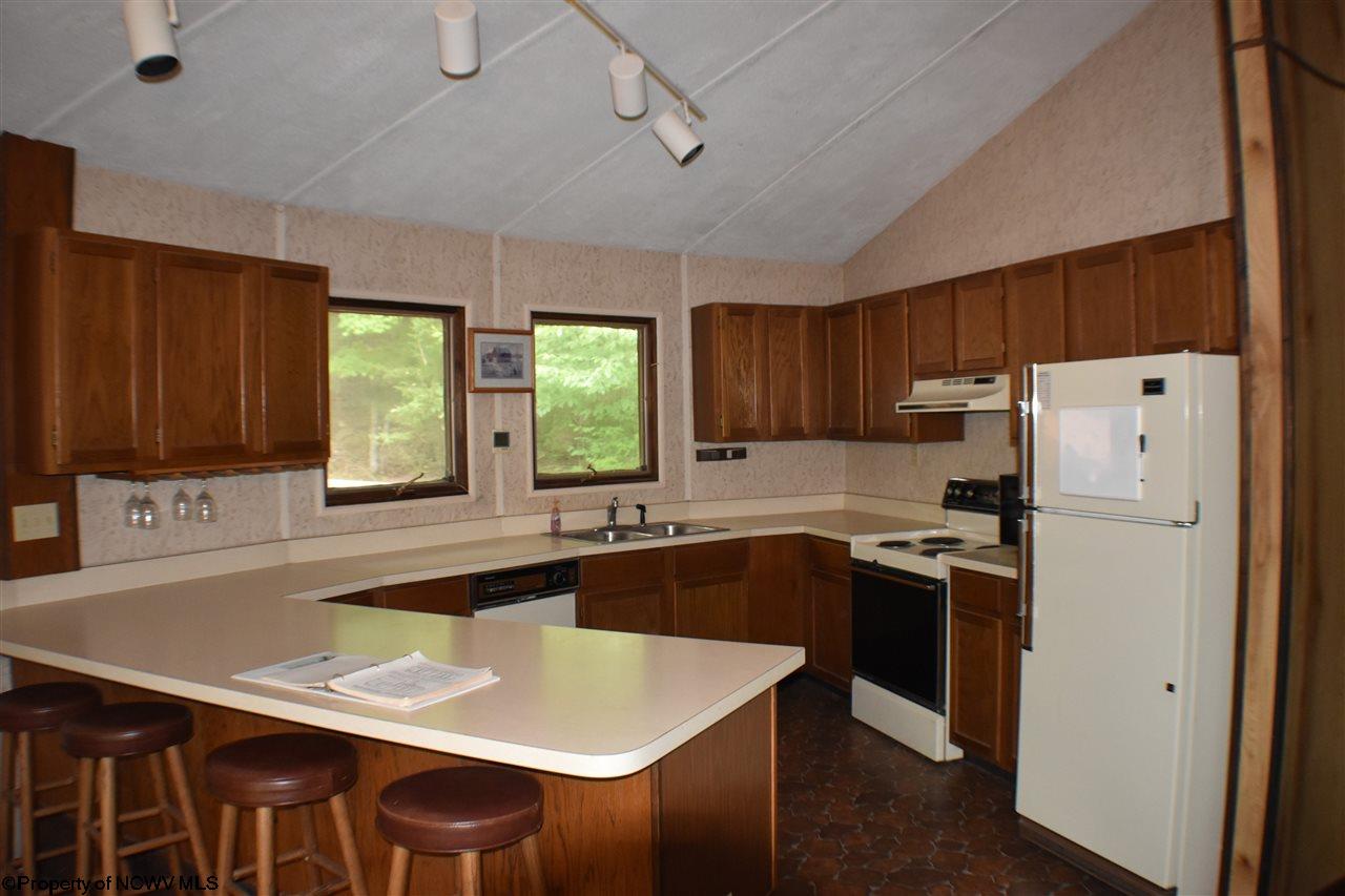 667 Mountainside Road Davis, WV 26260 - Photo 4 of 19 Gallery Image 4