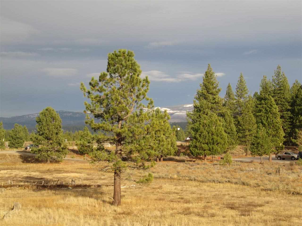 10111 Columbine Road Truckee, CA 96161 - Photo 13 of 14 Gallery Image 13