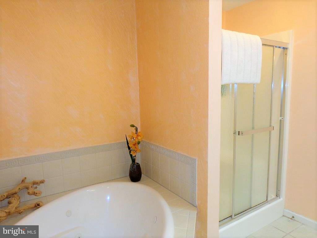 32530 Approach Way, Unit 3252 Millsboro, DE 19966 - Photo 38 of 109 Bath offers tub or shower