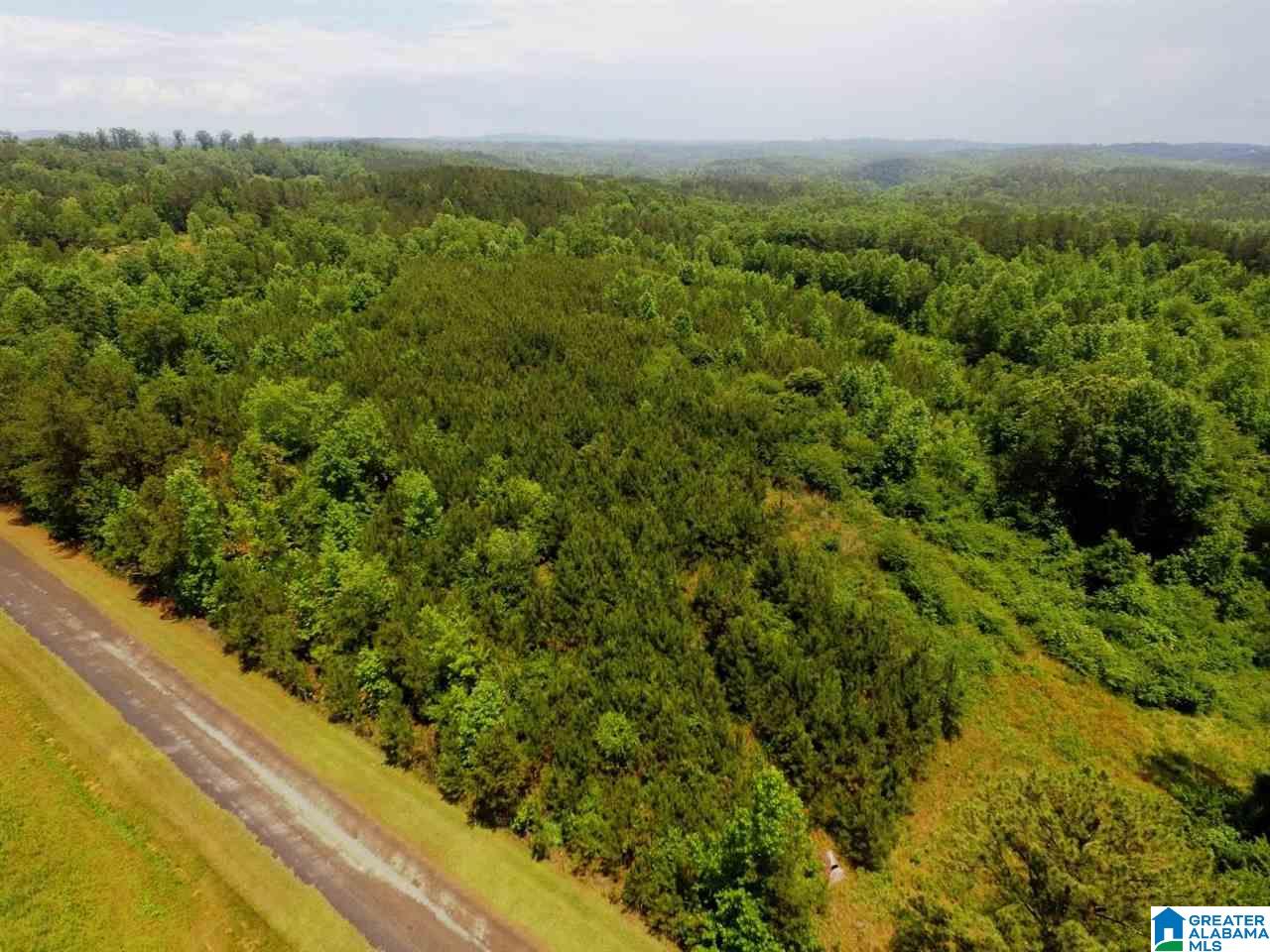 263 County Road, Unit 21 Lineville, AL 36266 - Photo 3 of 7