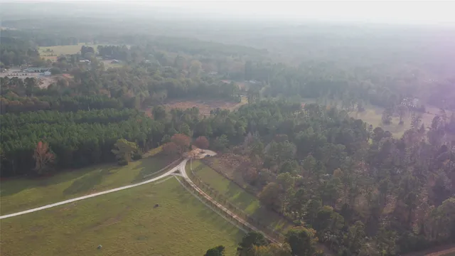 a view of a dry yard with trees