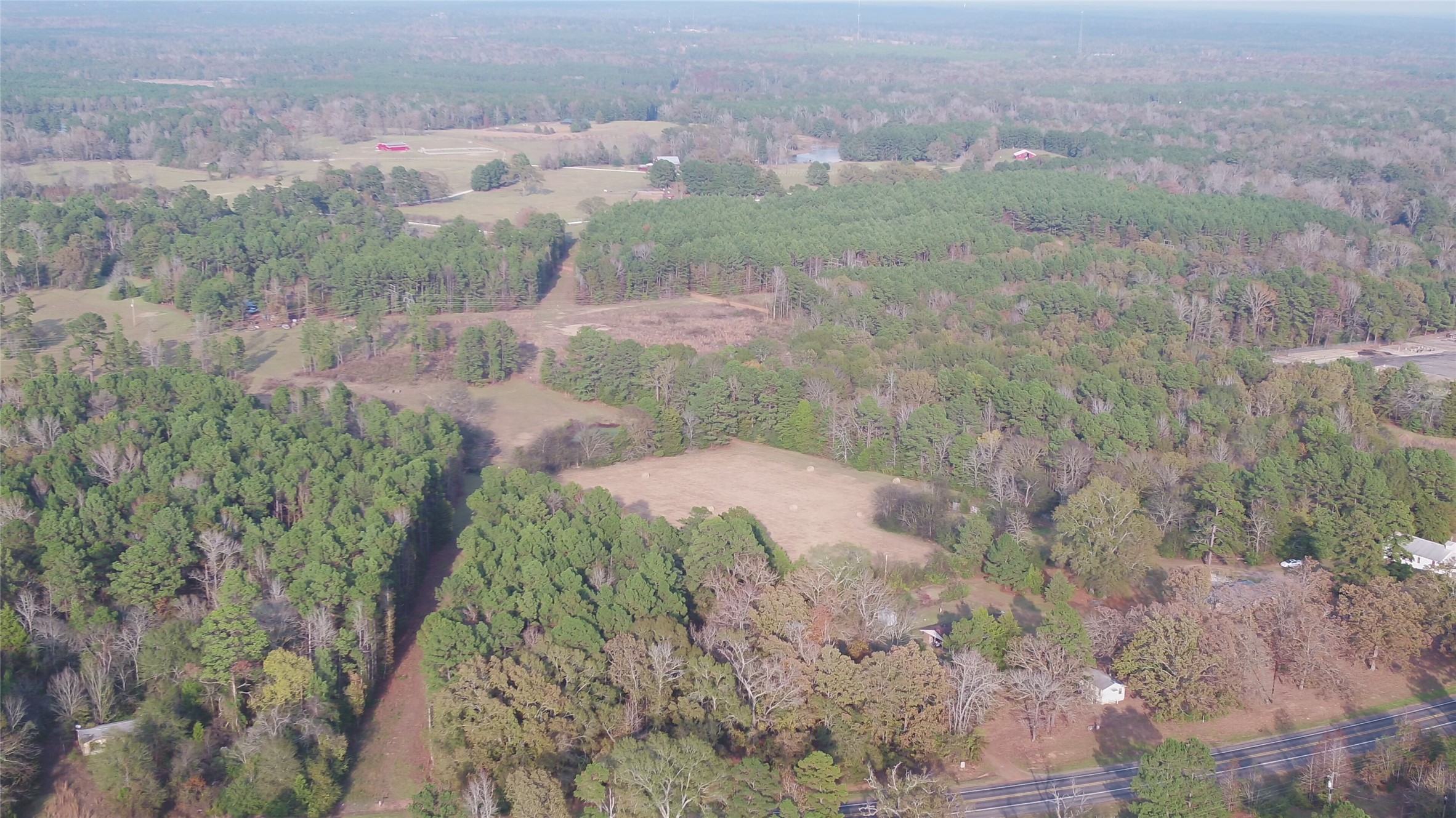 525 Kelly Ranch Road Jefferson, TX 75657 - Photo 5 of 6 a view of a dry yard with trees