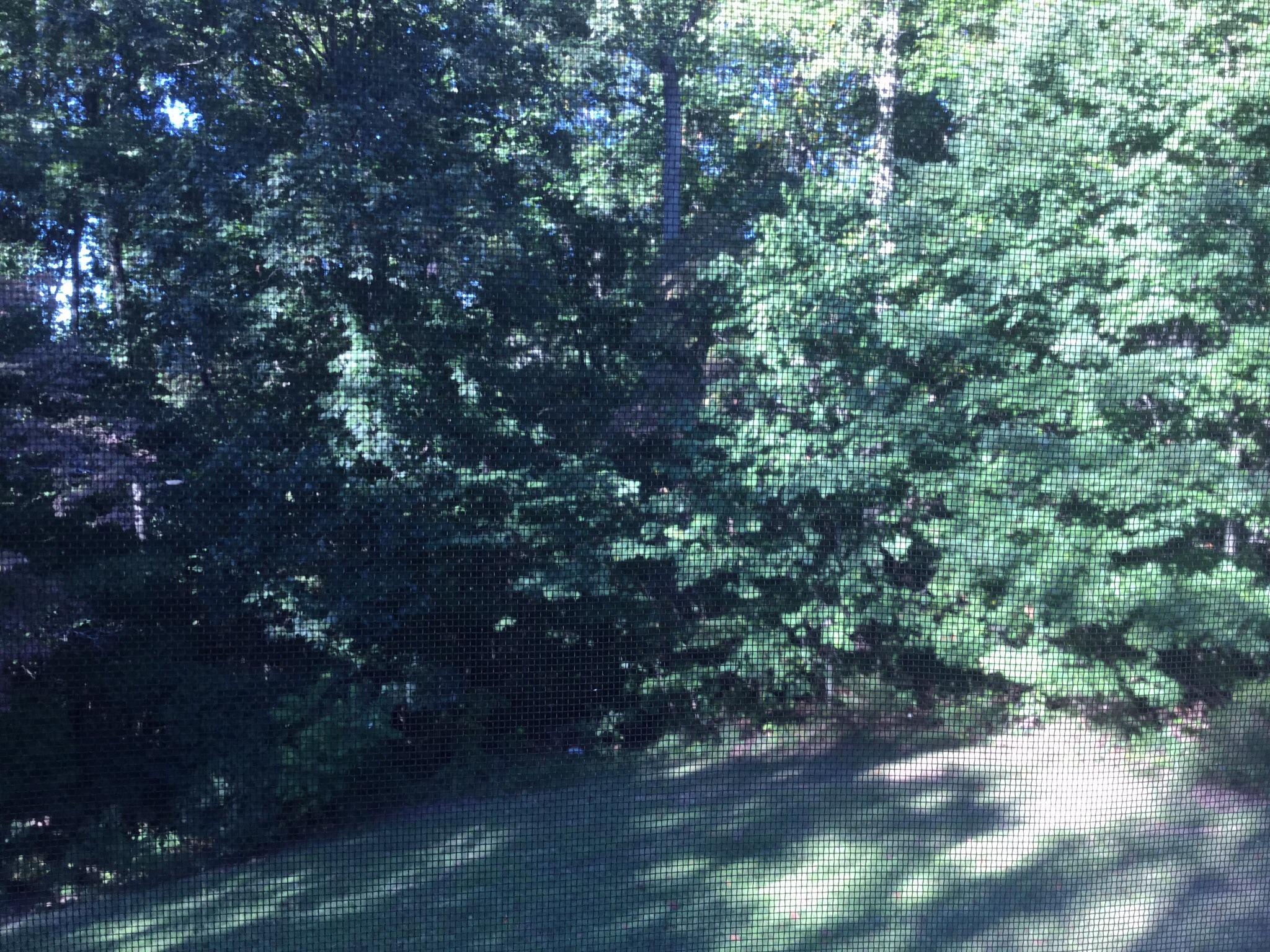 786 Fox Hunter Road Maynardville, TN 37807 - Photo 18 of 29 image