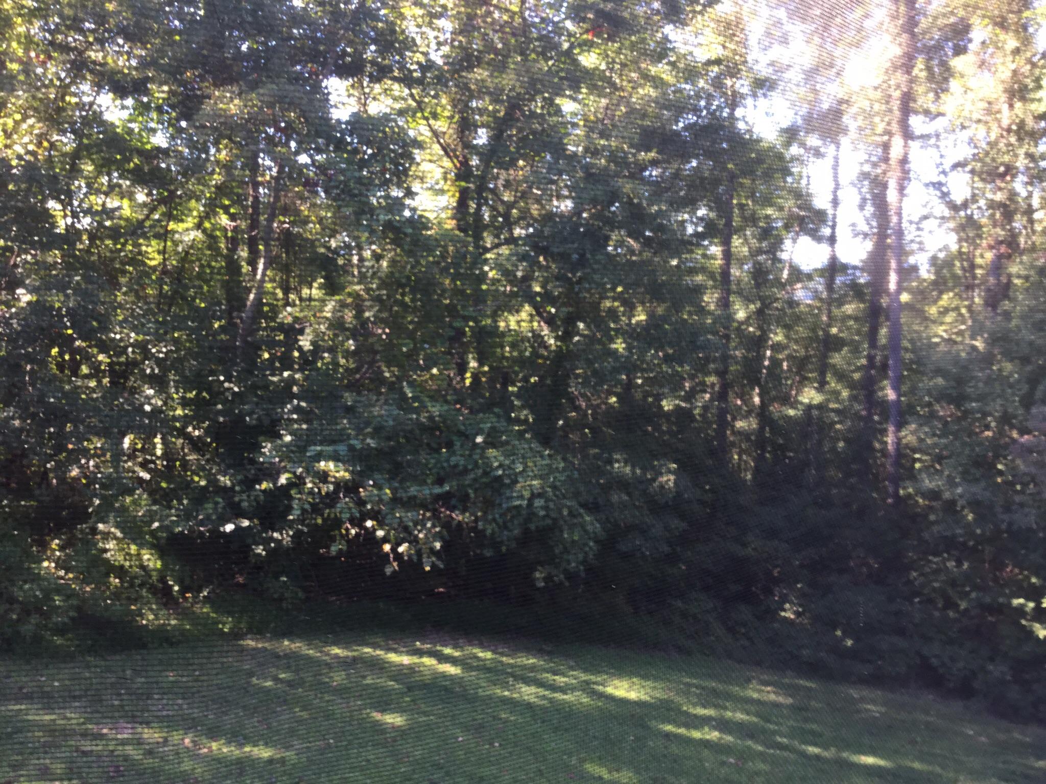 786 Fox Hunter Road Maynardville, TN 37807 - Photo 19 of 29 image
