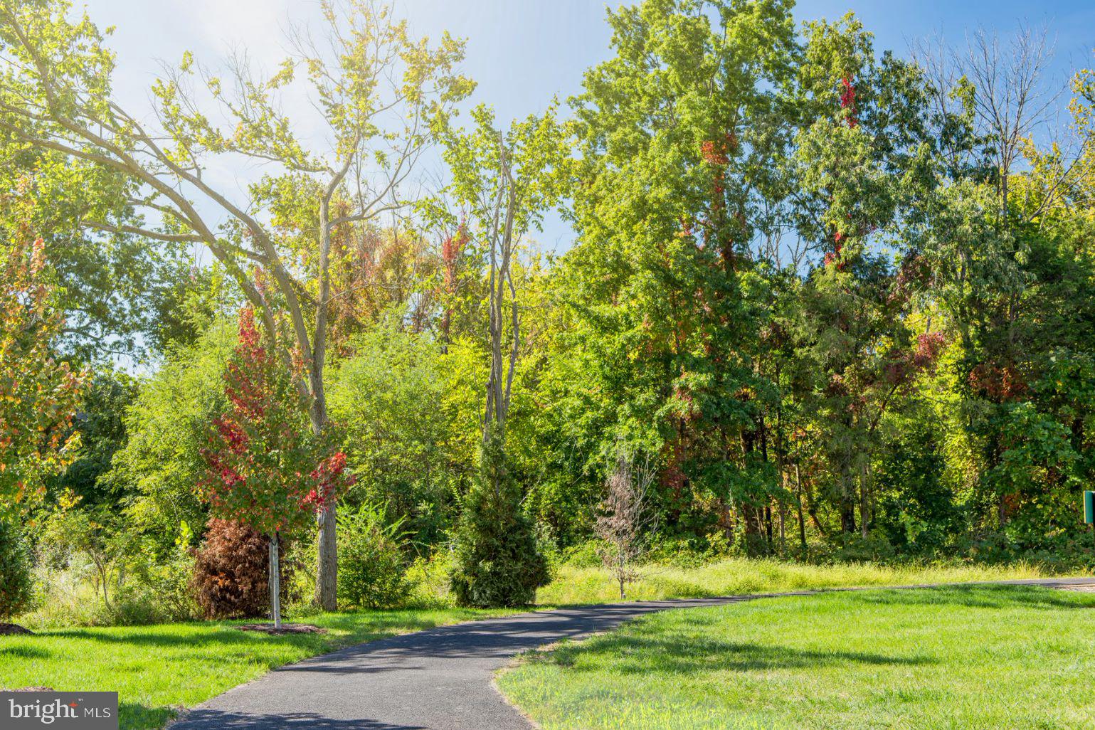 19818 Bodmer Drive Ashburn, VA 20147 - Photo 18 of 41