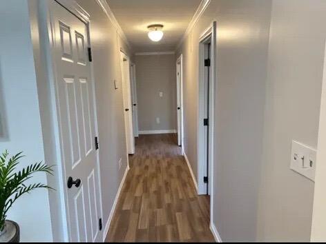 310 Pine Tree Road Levant, ME 04456 - Photo 12 of 28 Hallway to Bedrooms & Bathrooms