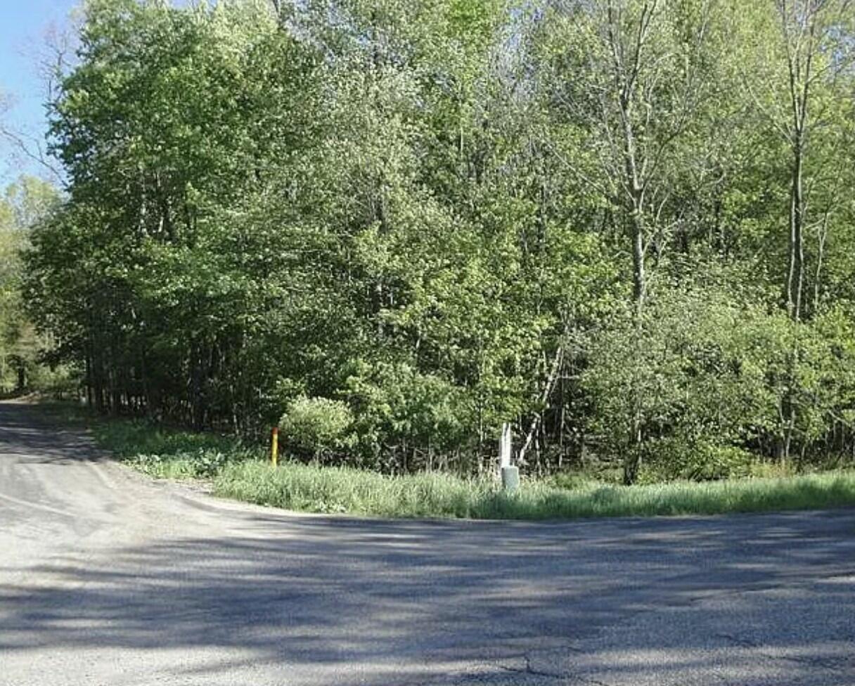 124 Longbridge Road Pentwater, MI 49449 - Photo 2 of 5 tempImagespPb5L