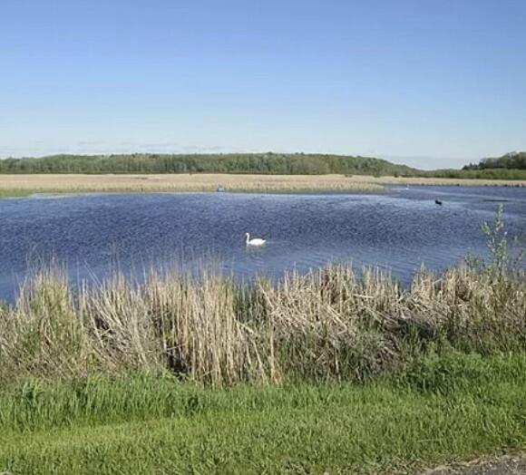 124 Longbridge Road Pentwater, MI 49449 - Photo 4 of 5 tempImagesPKvOk