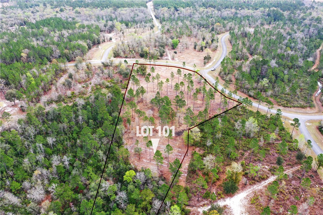 15403 Bullock Bluff Road Bryceville, FL 32009 - Photo 9 of 30 Gallery Image 9