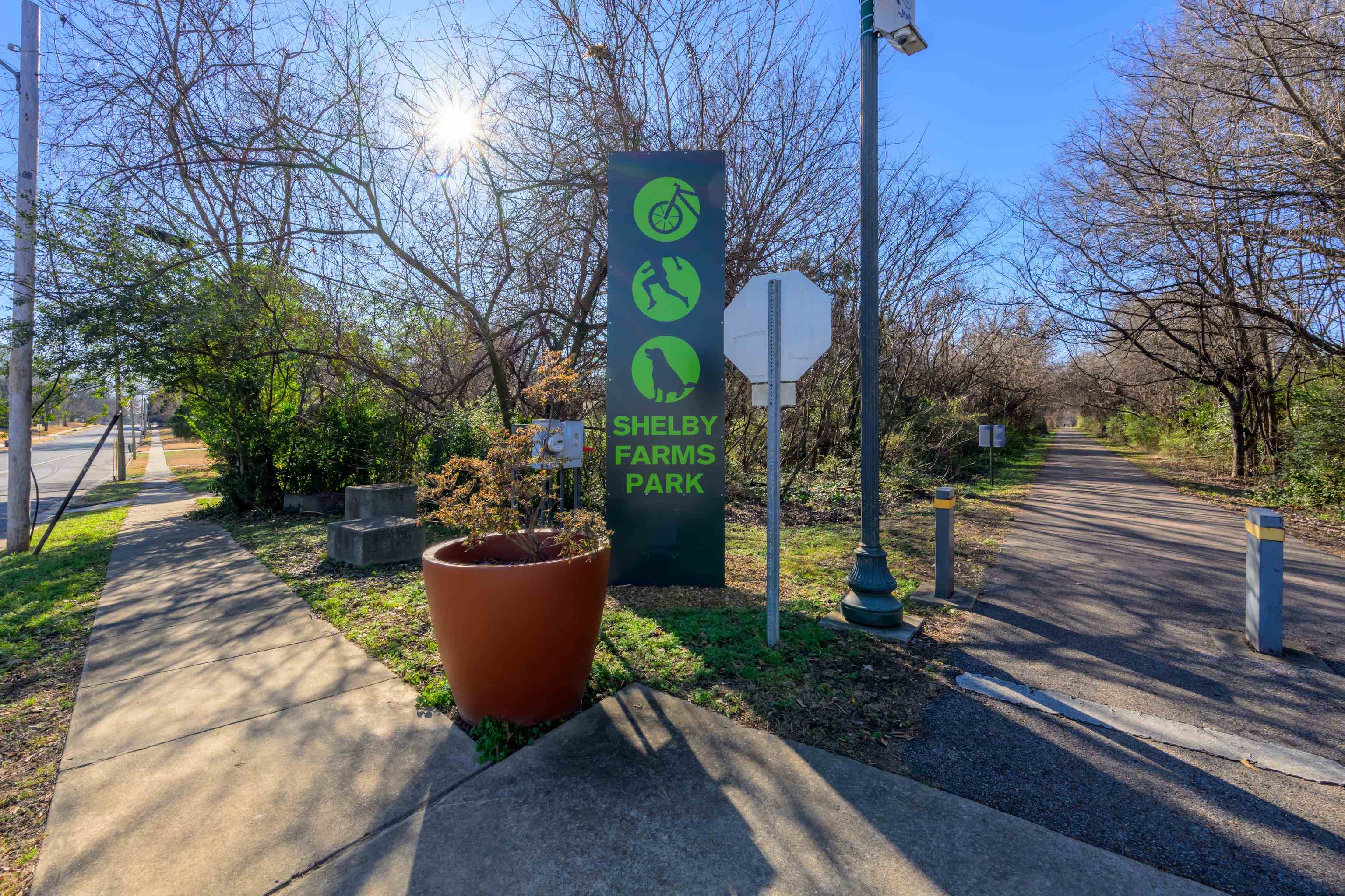 3787 South Swan Ridge Circle Memphis, TN 38122 - Photo 38 of 40