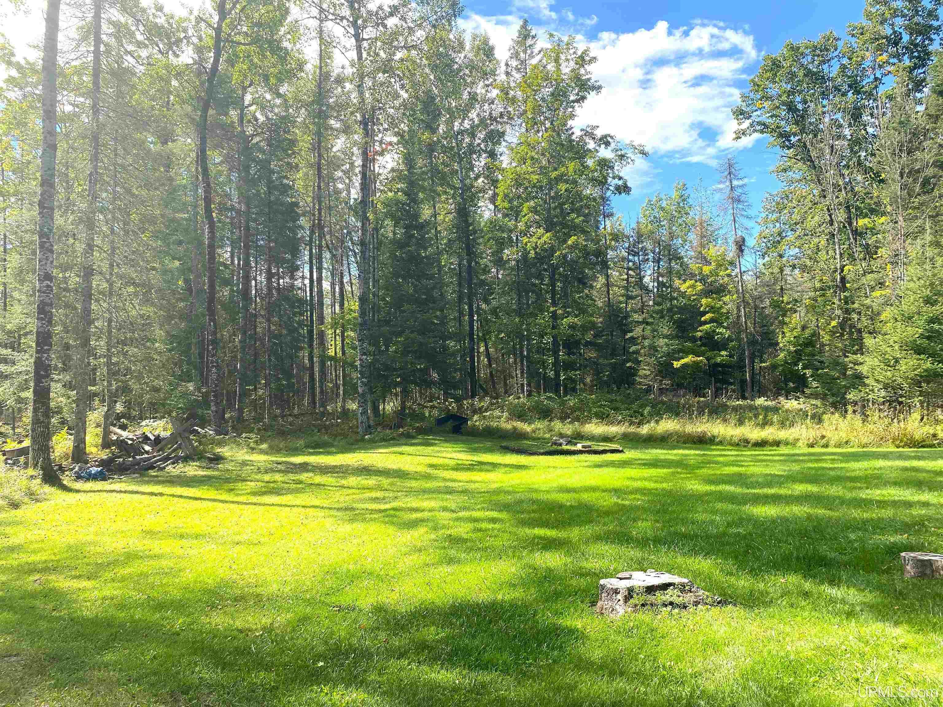 10865 I Road Cornell, MI 49818 - Photo 12 of 32