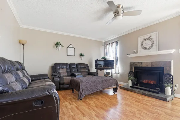 a living room with furniture and a fireplace