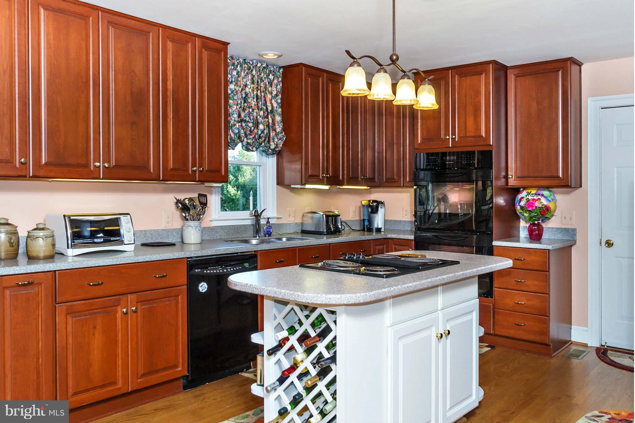 4531 Rutherford Way Dayton, MD 21036 - Photo 4 of 26 Gourmet Kitchen