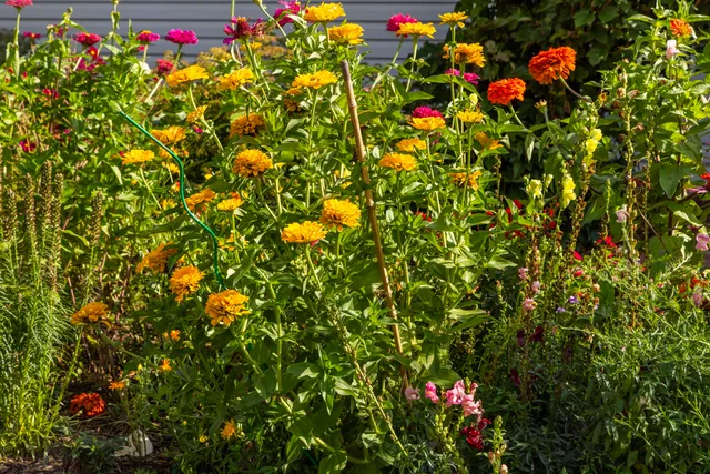 $1 | 306 West Leonard Street, Watertown, WI 53098