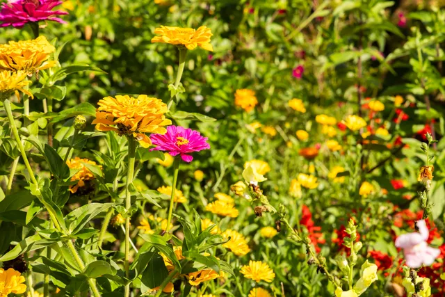 $1 | 306 West Leonard Street, Watertown, WI 53098