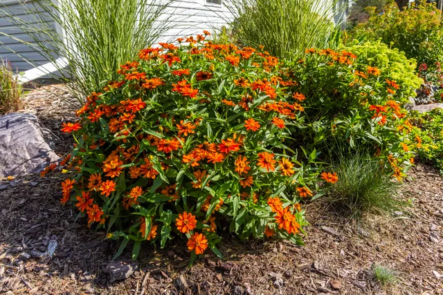 $1 | 306 West Leonard Street, Watertown, WI 53098