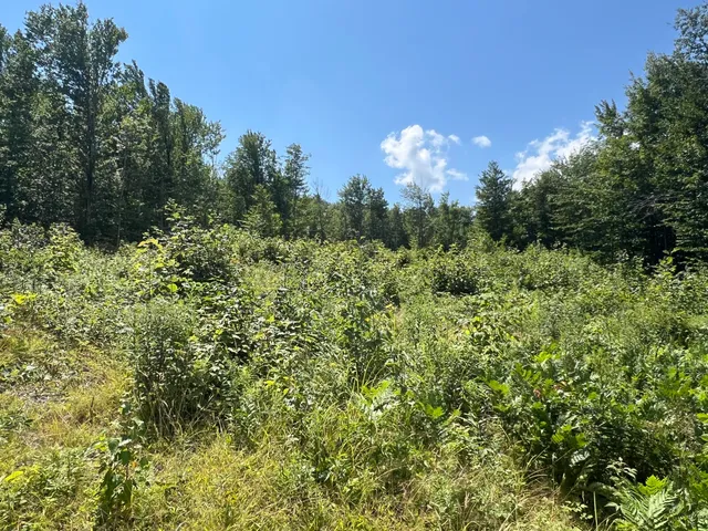 $139,900 | 11 West Mountain View Drive, Temple, ME 04984