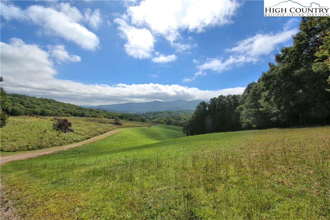 Ripshin Road Troutdale, VA 24378 - Photo 1 of 20 Gallery Image 1