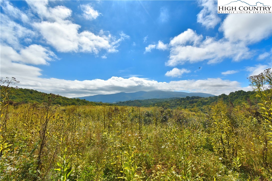 Ripshin Road Troutdale, VA 24378 - Photo 12 of 20 Gallery Image 12
