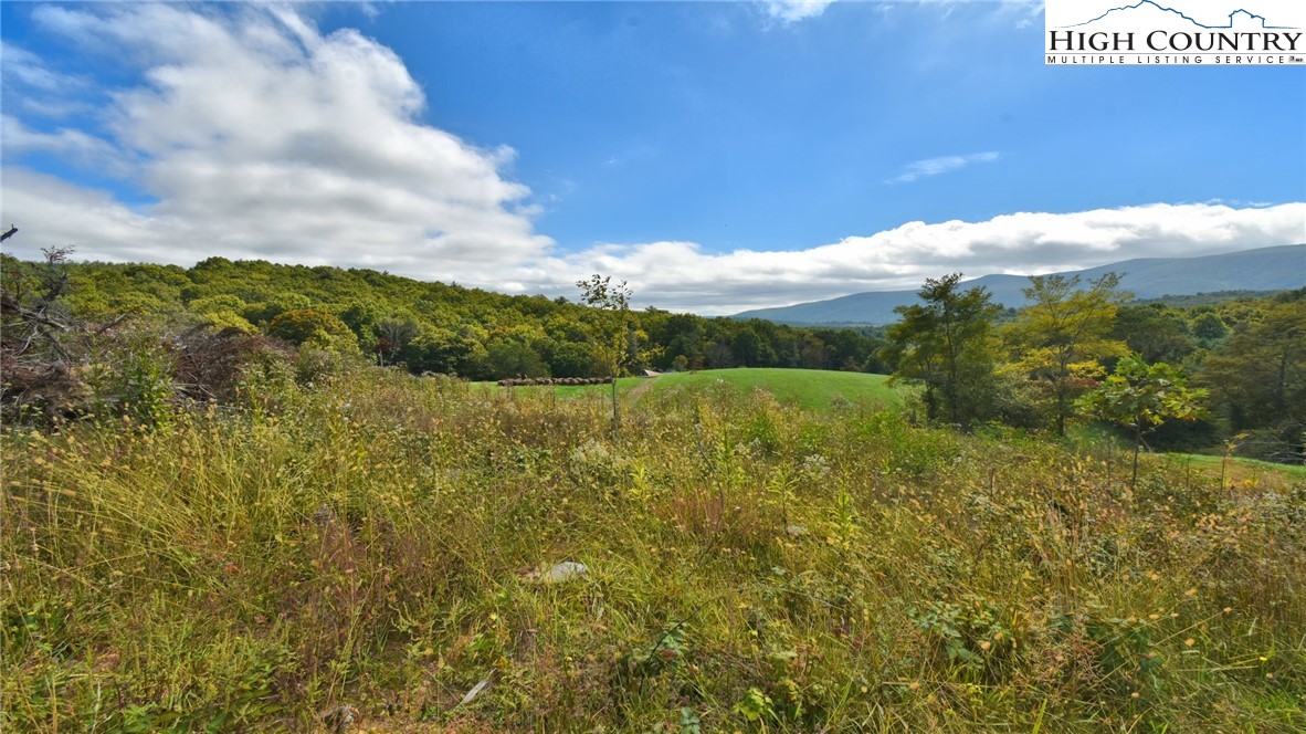 Ripshin Road Troutdale, VA 24378 - Photo 14 of 20 Gallery Image 14