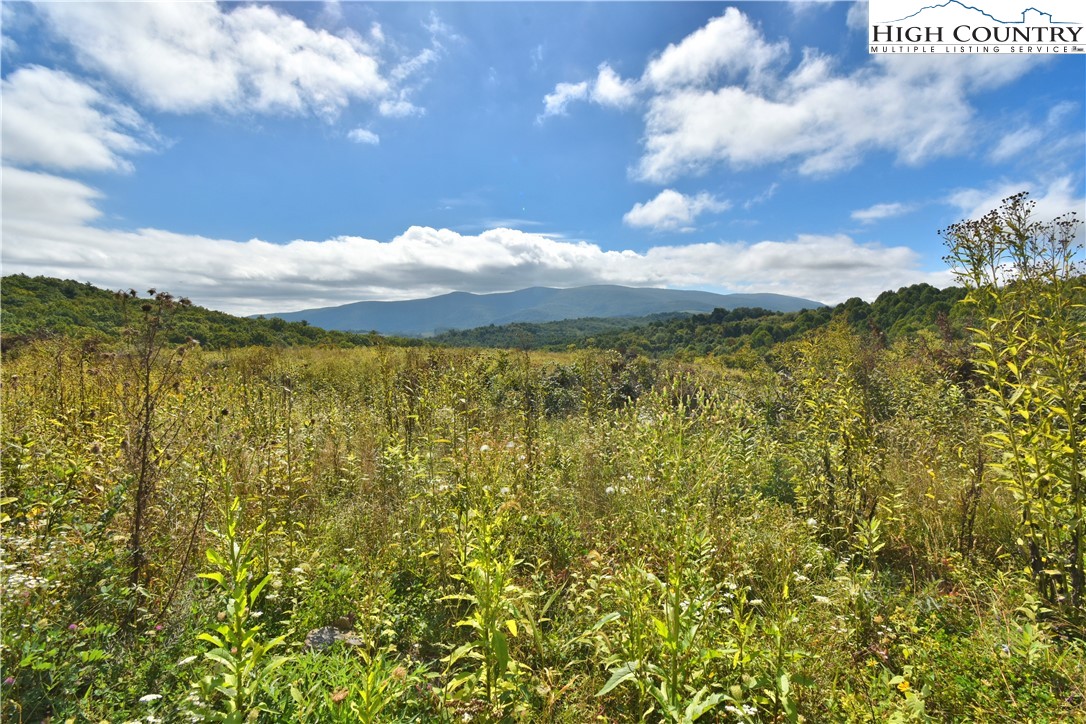 Ripshin Road Troutdale, VA 24378 - Photo 10 of 20 Gallery Image 10