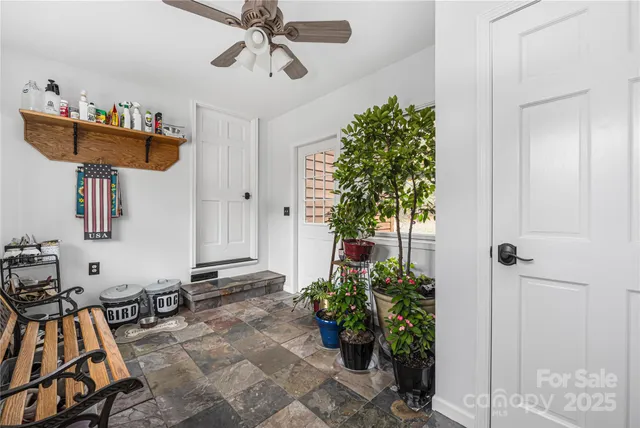 a living room with furniture and a potted plant