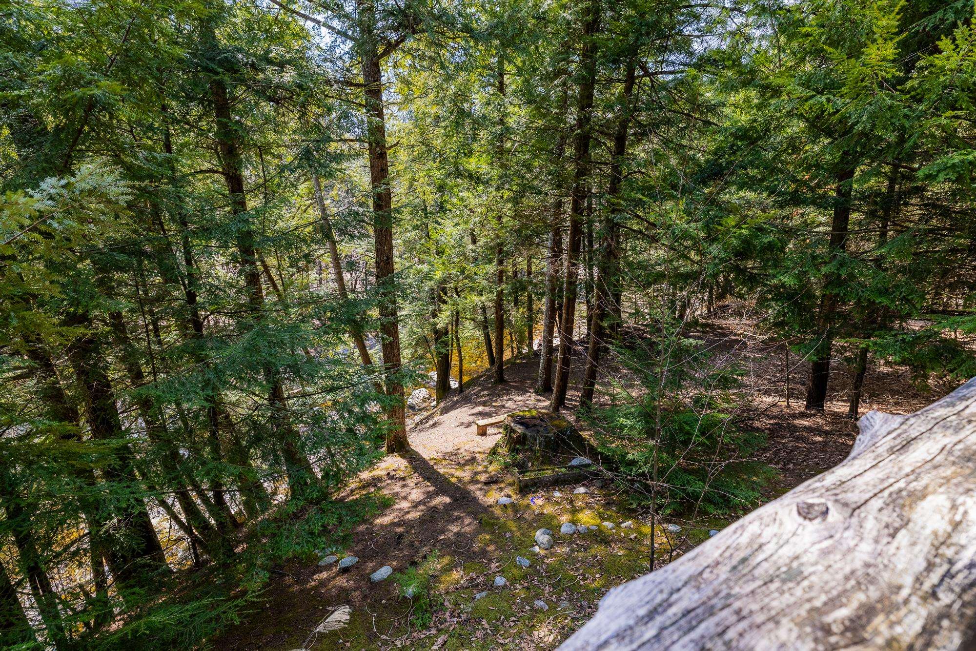 553 Roaring Branch Road Arlington, VT 05250 - Photo 32 of 45