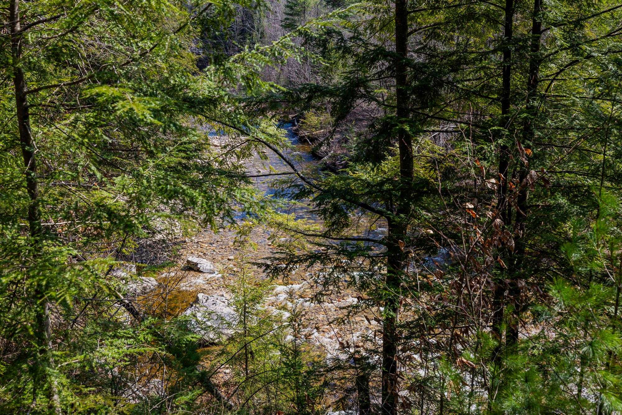 553 Roaring Branch Road Arlington, VT 05250 - Photo 33 of 45