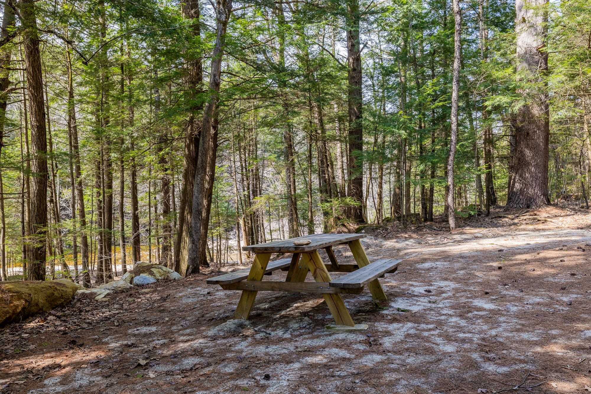 553 Roaring Branch Road Arlington, VT 05250 - Photo 39 of 45