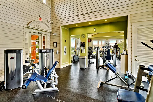 a view of a backyard with potted plants