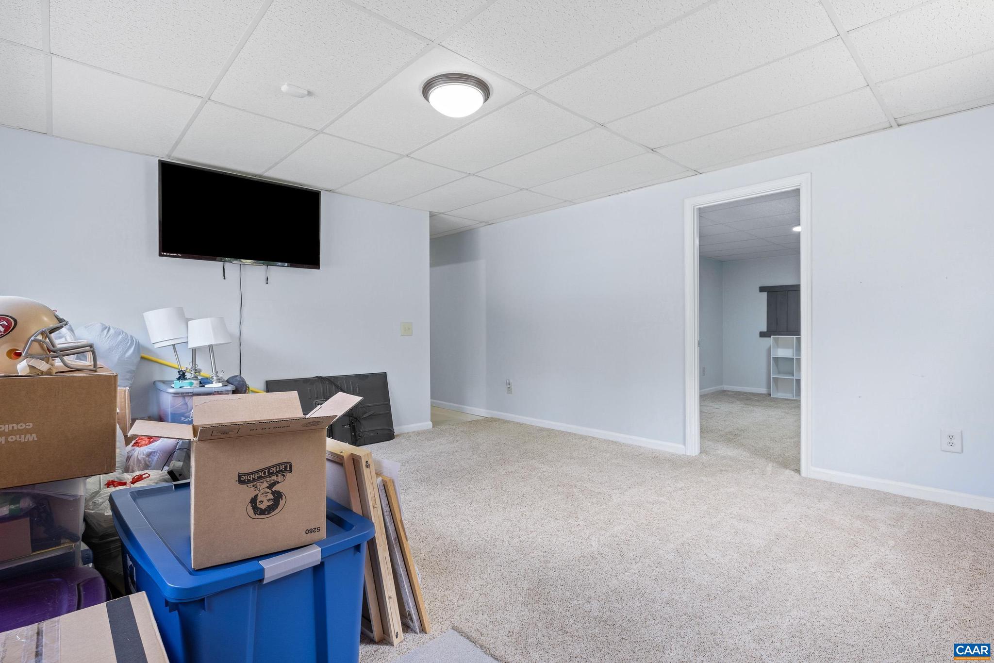5393 Amicus Road Ruckersville, VA 22968 - Photo 65 of 74