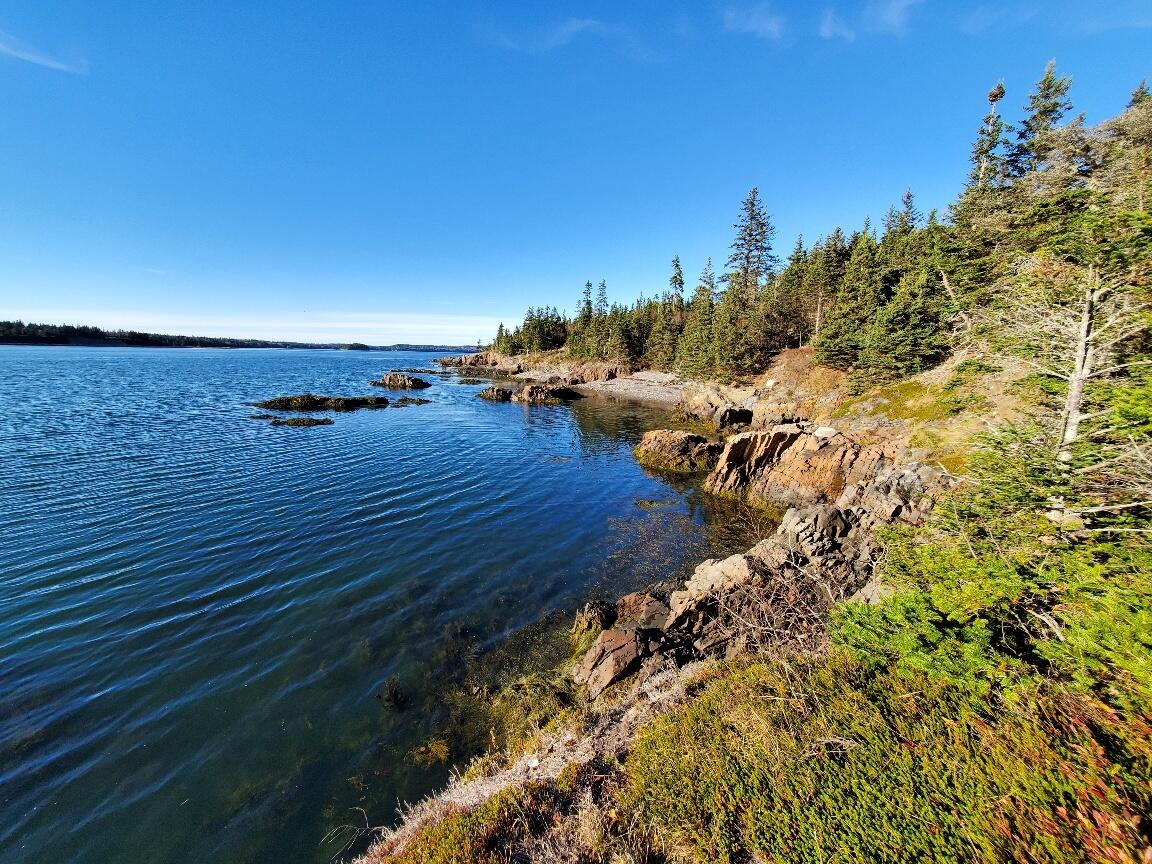 Lot 7 South Ocean Road Machiasport, ME 04655 - Photo 1 of 44 the frontage