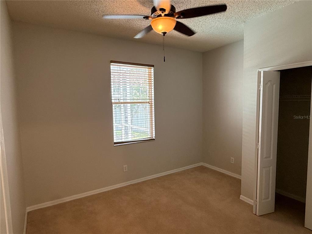 12521 Sparkleberry Road Tampa, FL 33626 - Photo 29 of 41
