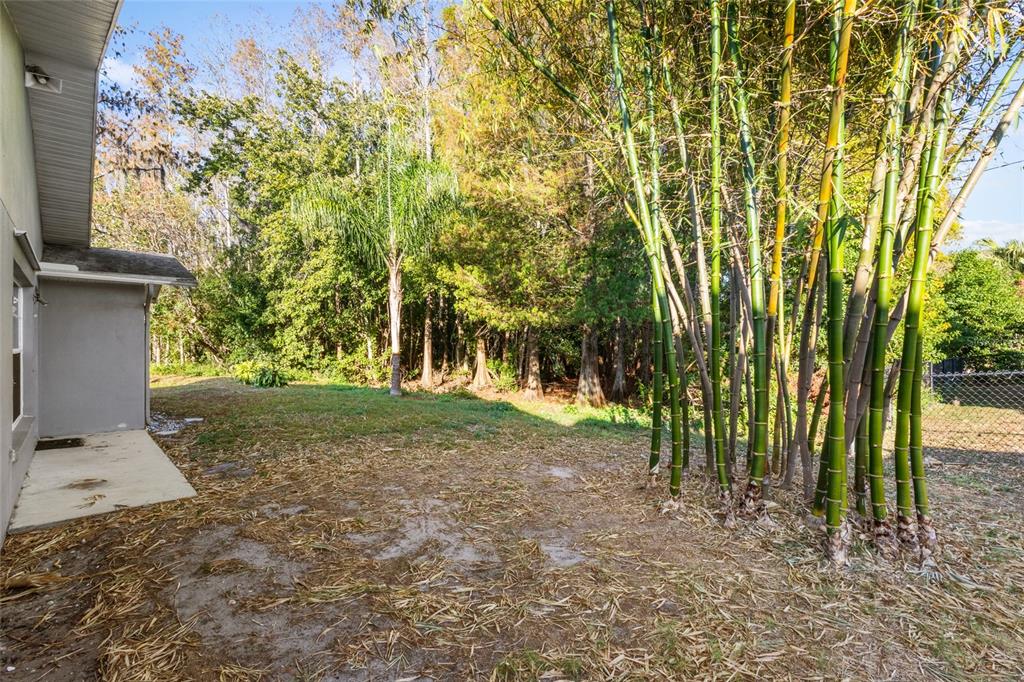 4644 Sawgrass Boulevard New Port Richey, FL 34653 - Photo 27 of 34 a view of a yard with plants and trees