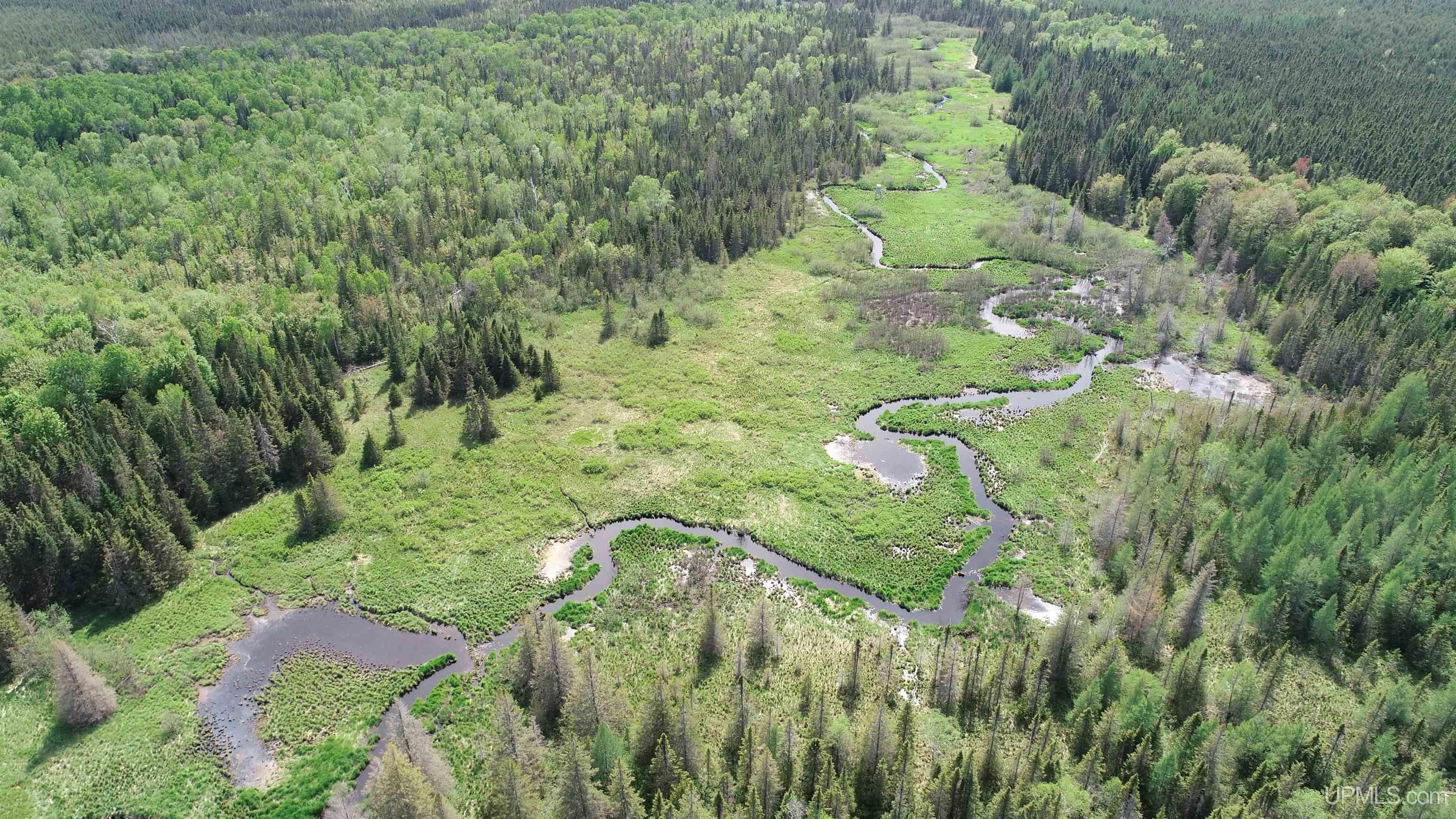 Tbd Tbd Banking Ground Road Germfask, MI 49836 - Photo 12 of 36