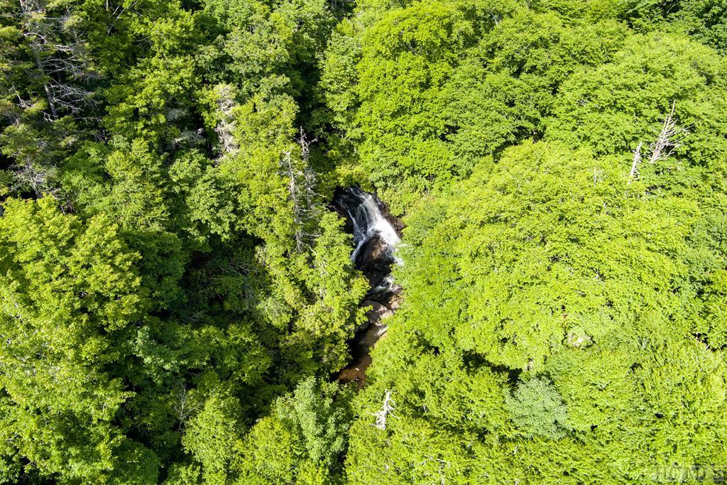 Tbd Billy Cabin Road Highlands, NC 28741 - Photo 4 of 13 Gallery Image 4