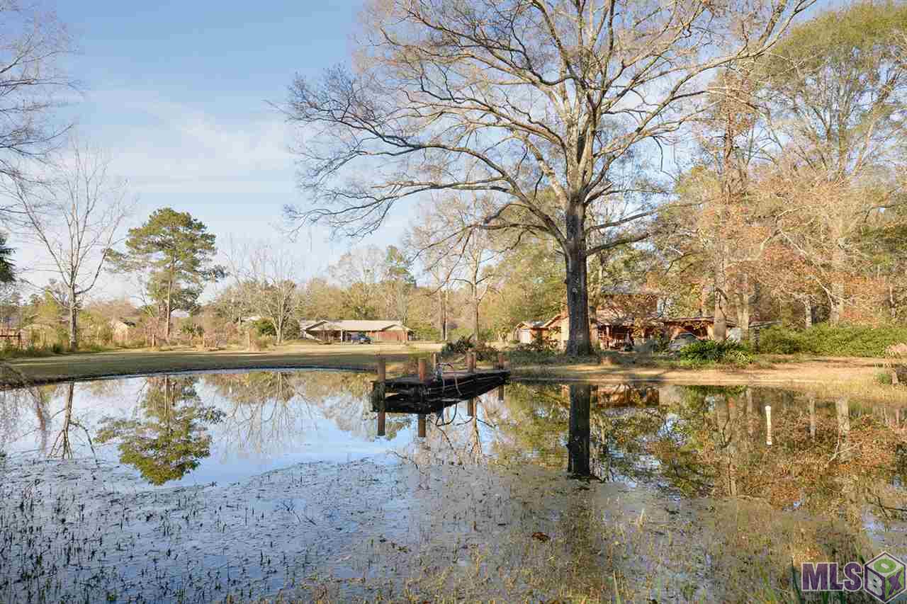 9808 Arnold Road Denham Springs, LA 70726 - Photo 4 of 16 Private Pond