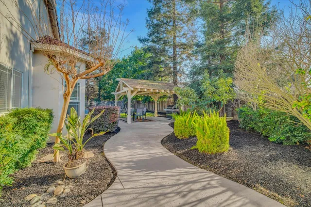 a view of a backyard with plants
