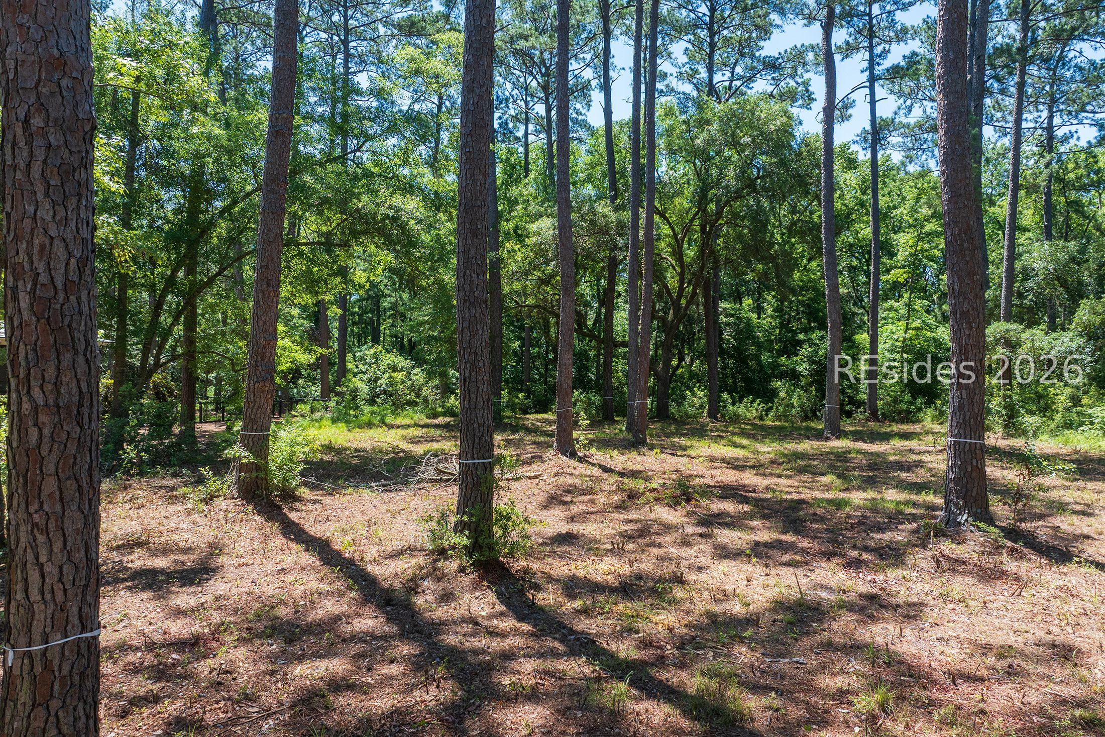 77 Lupine Road Bluffton, SC 29910 - Photo 17 of 28