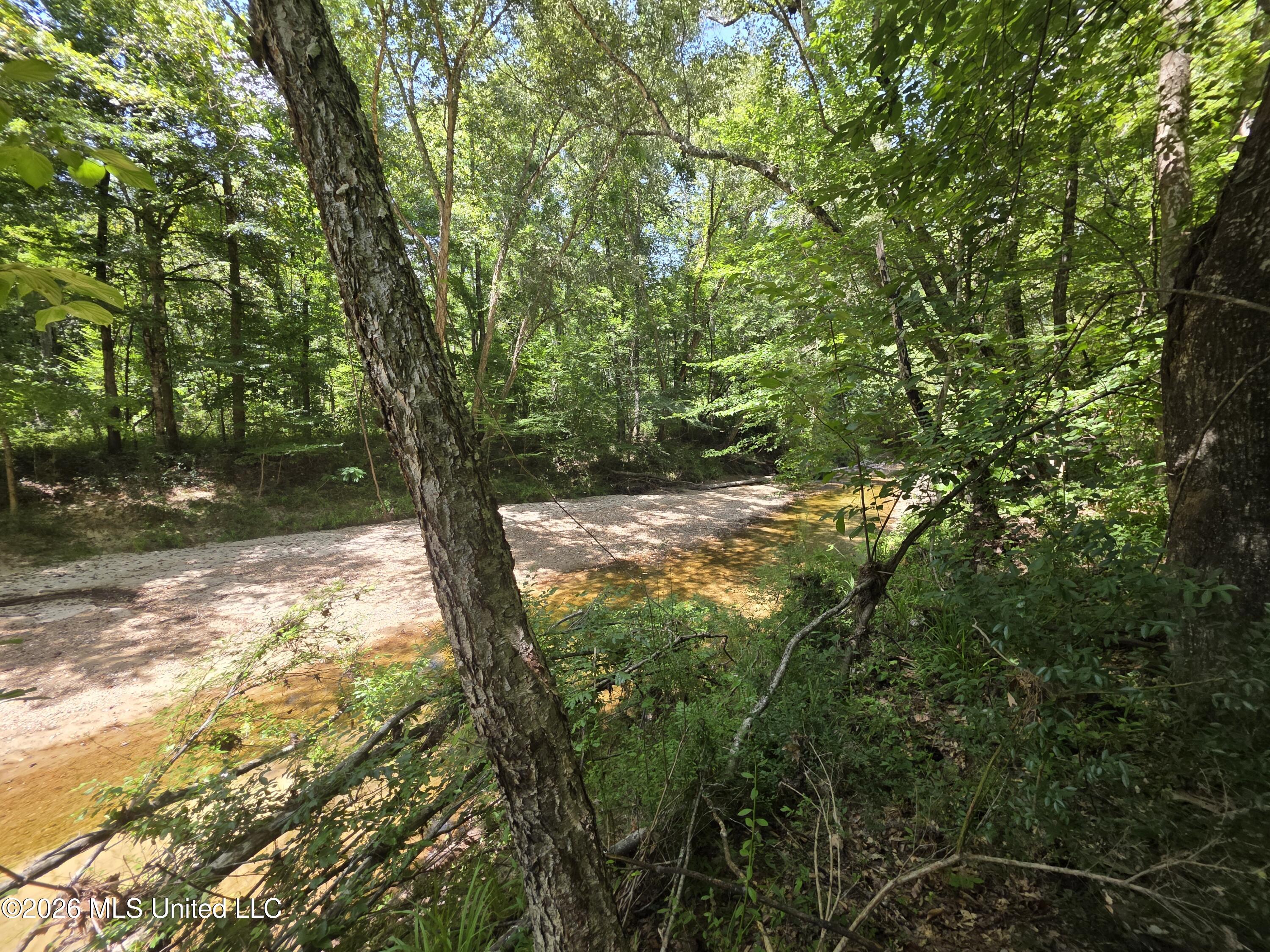 Oldenburg Road Roxie, MS 39661 - Photo 32 of 87 38121