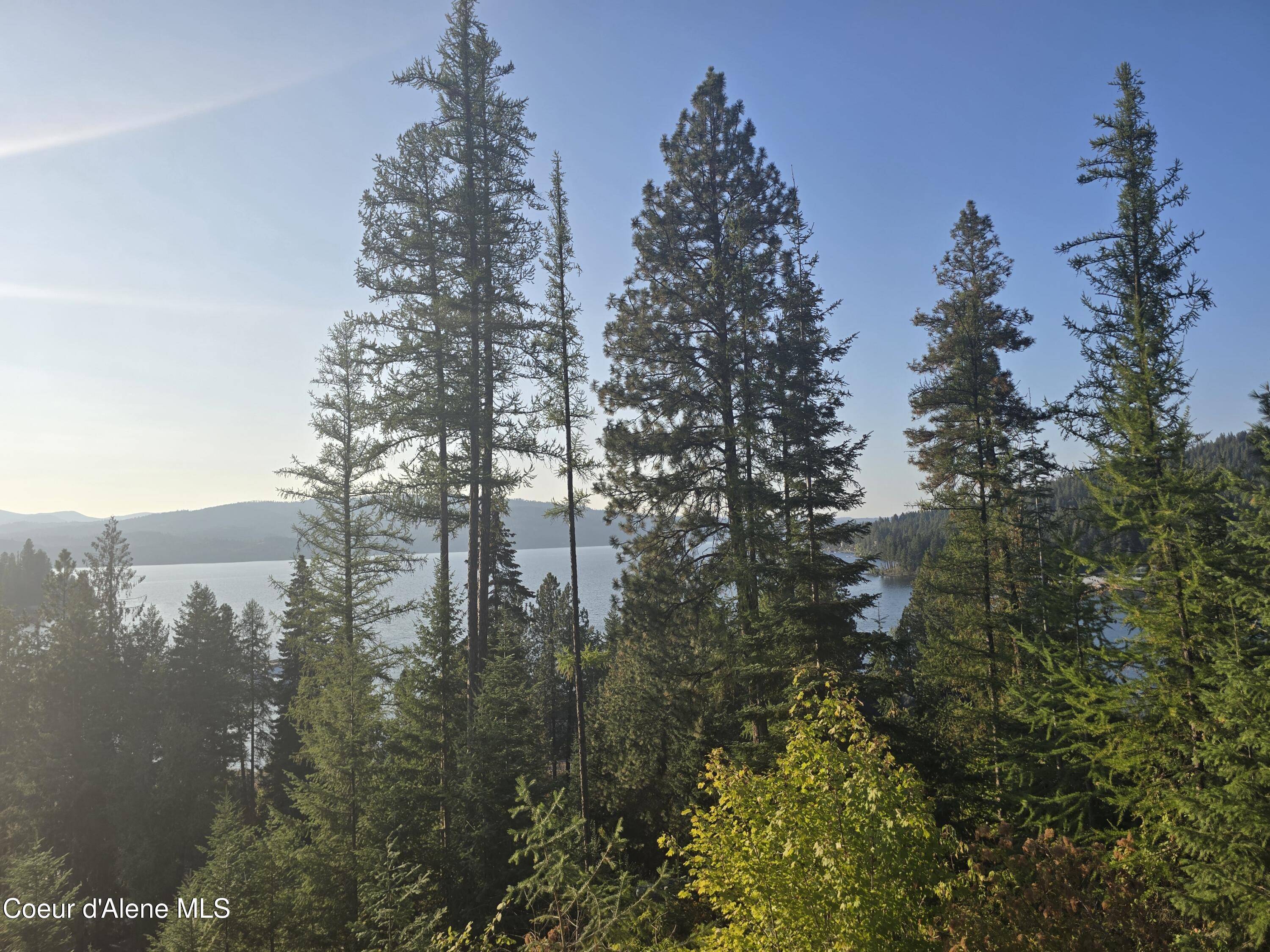 11 Flying Eagle Drive Harrison, ID 83833 - Photo 12 of 16 20250916_173445