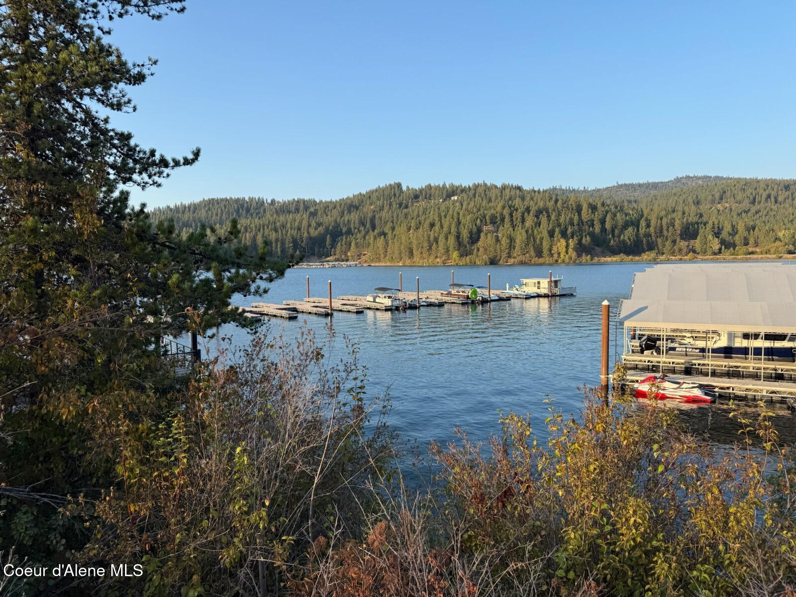 11 Flying Eagle Drive Harrison, ID 83833 - Photo 9 of 16 IMG_0516