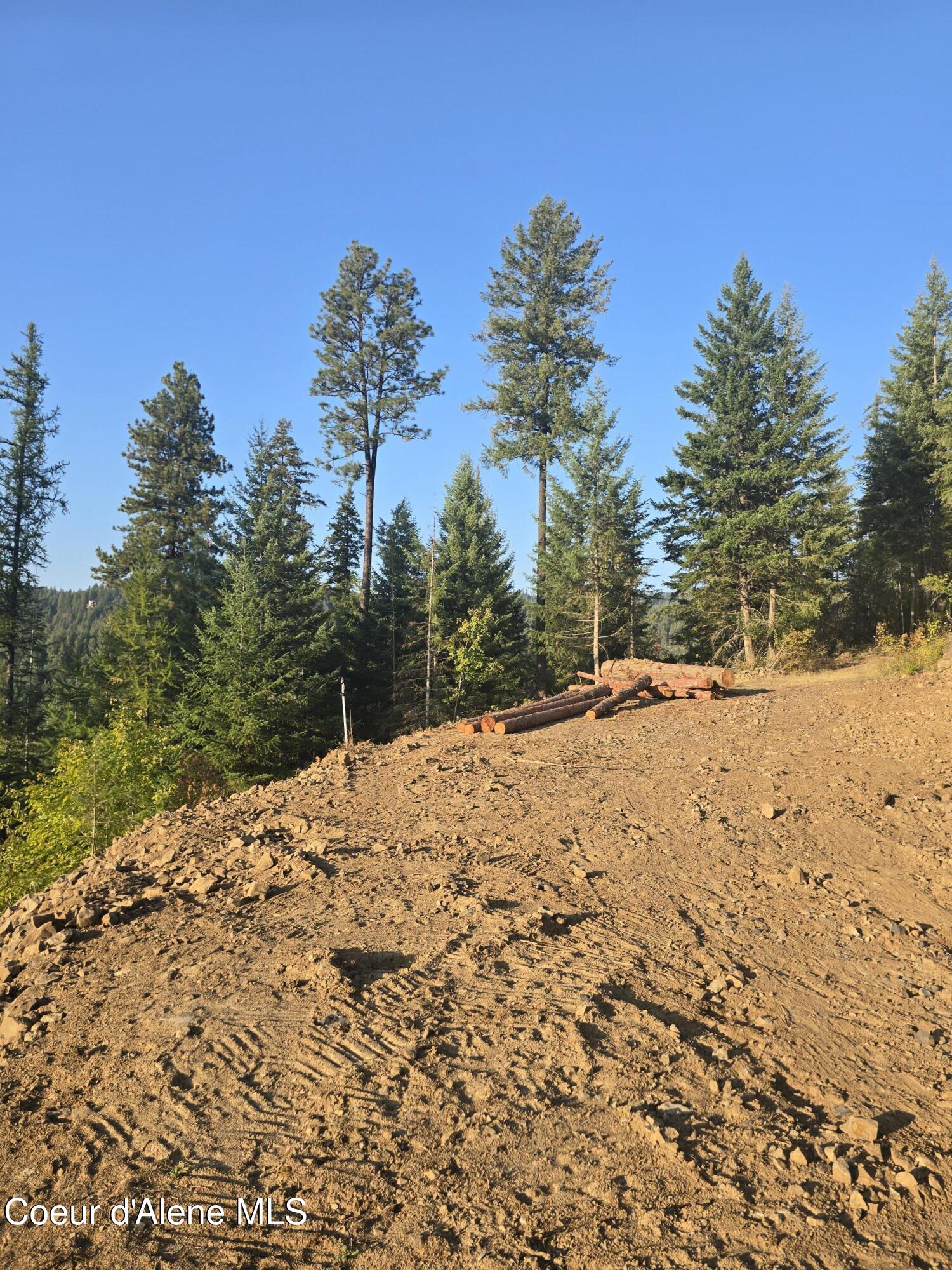 11 Flying Eagle Drive Harrison, ID 83833 - Photo 10 of 16 20250916_173626