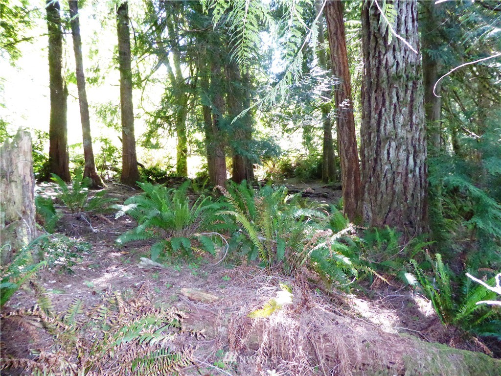 3 Northwest Stavis Bay Road Seabeck, WA 98380 - Photo 10 of 13 Gallery Image 10