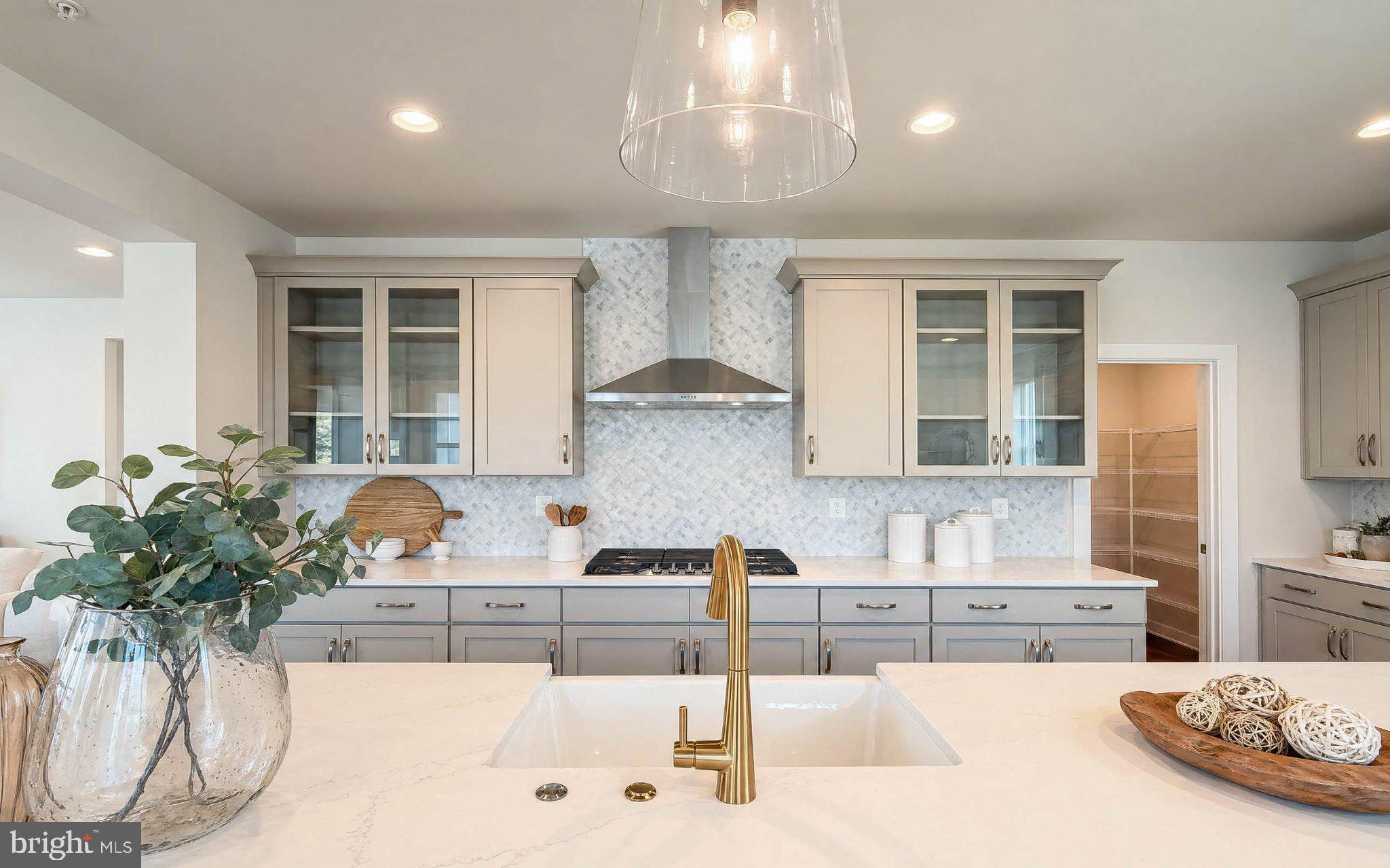 8785 Helleber Spring Circle Frederick, MD 21701 - Photo 4 of 49 Modern elegance in a bright kitchen.