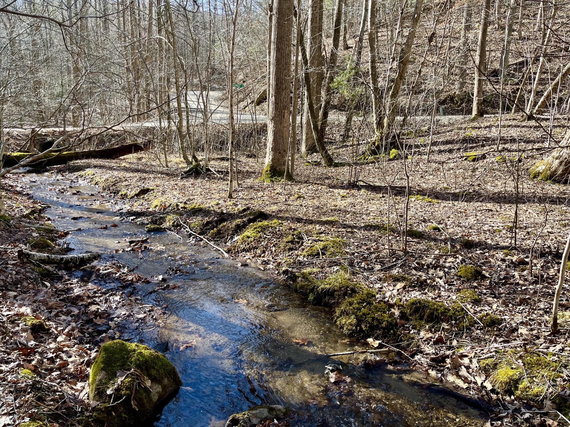 0 Glendale Road Bent Mountain, VA 24059 - Photo 1 of 15 7
