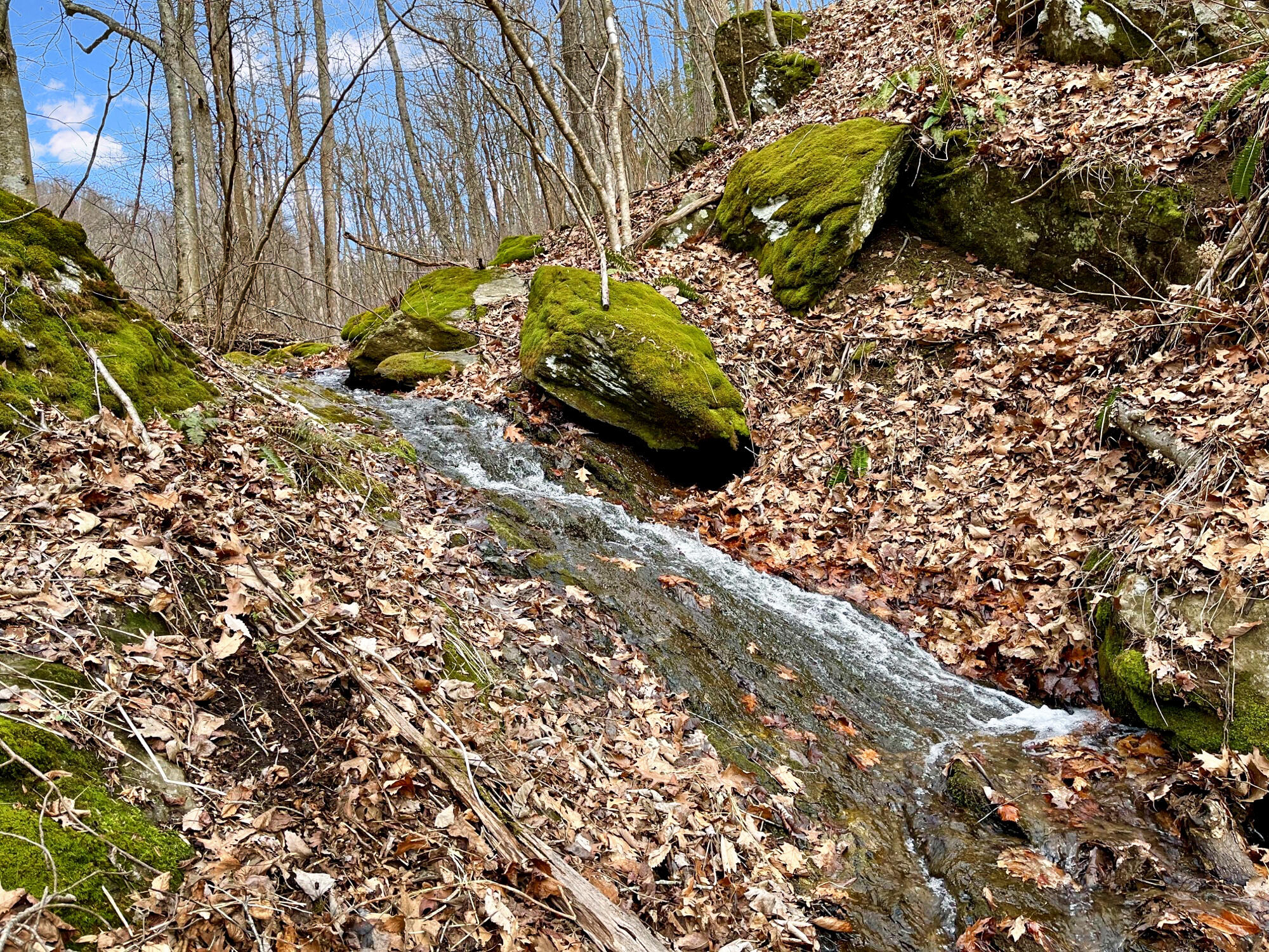 0 Glendale Road Bent Mountain, VA 24059 - Photo 3 of 15 Image