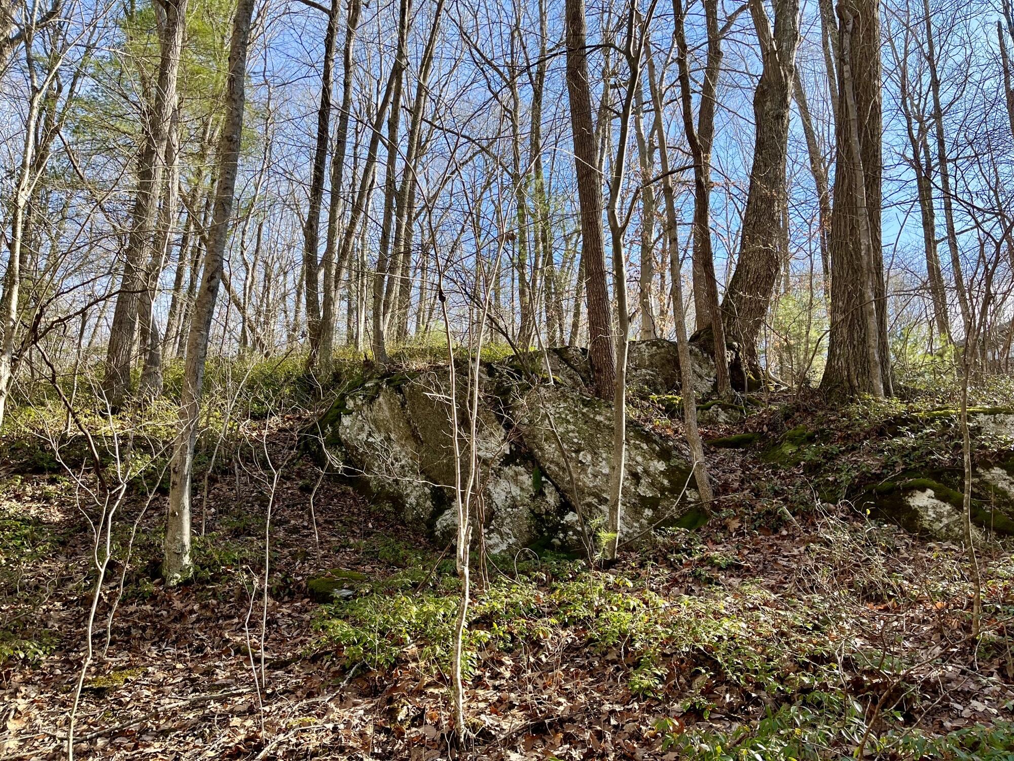 0 Glendale Road Bent Mountain, VA 24059 - Photo 4 of 15 6